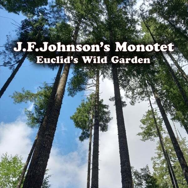 Cover art for Euclid's Wild Garden